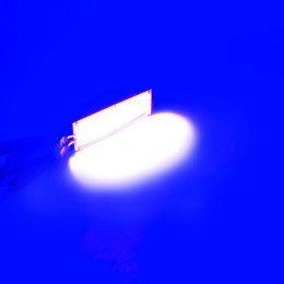 COB Light  12x3.6CM 12V 10W BLUE
